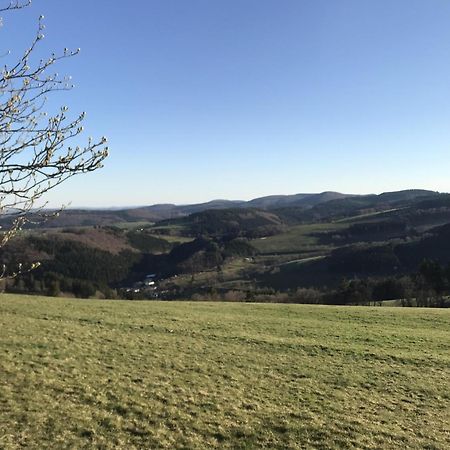 Gluehalm Willingen Villa Willingen  Exterior foto