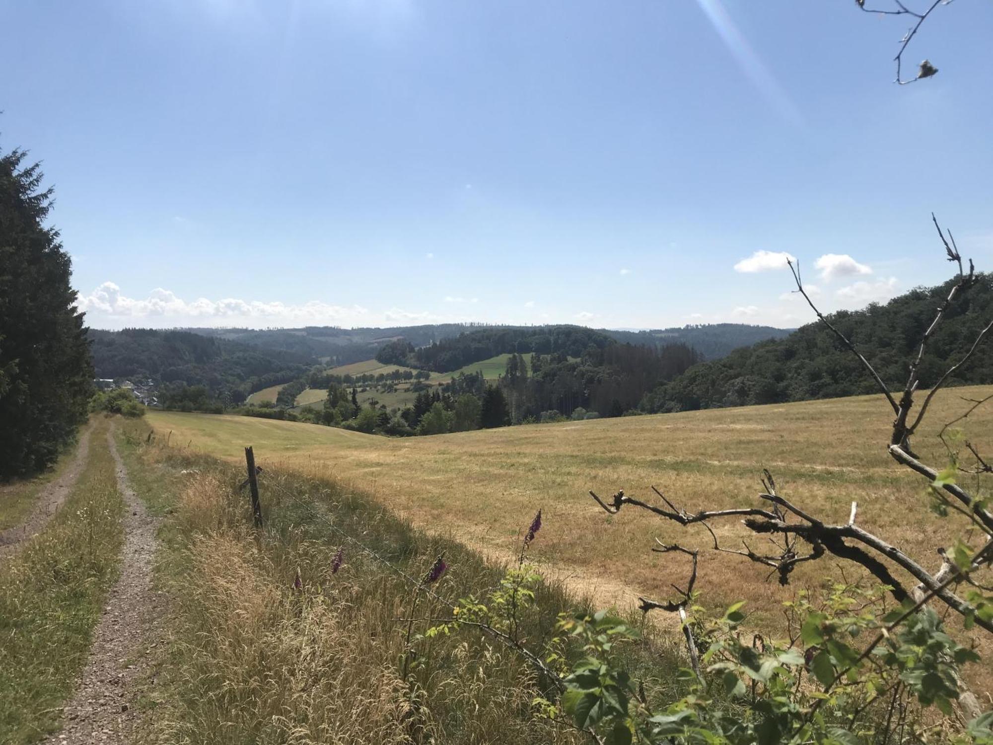 Gluehalm Willingen Villa Willingen  Exterior foto