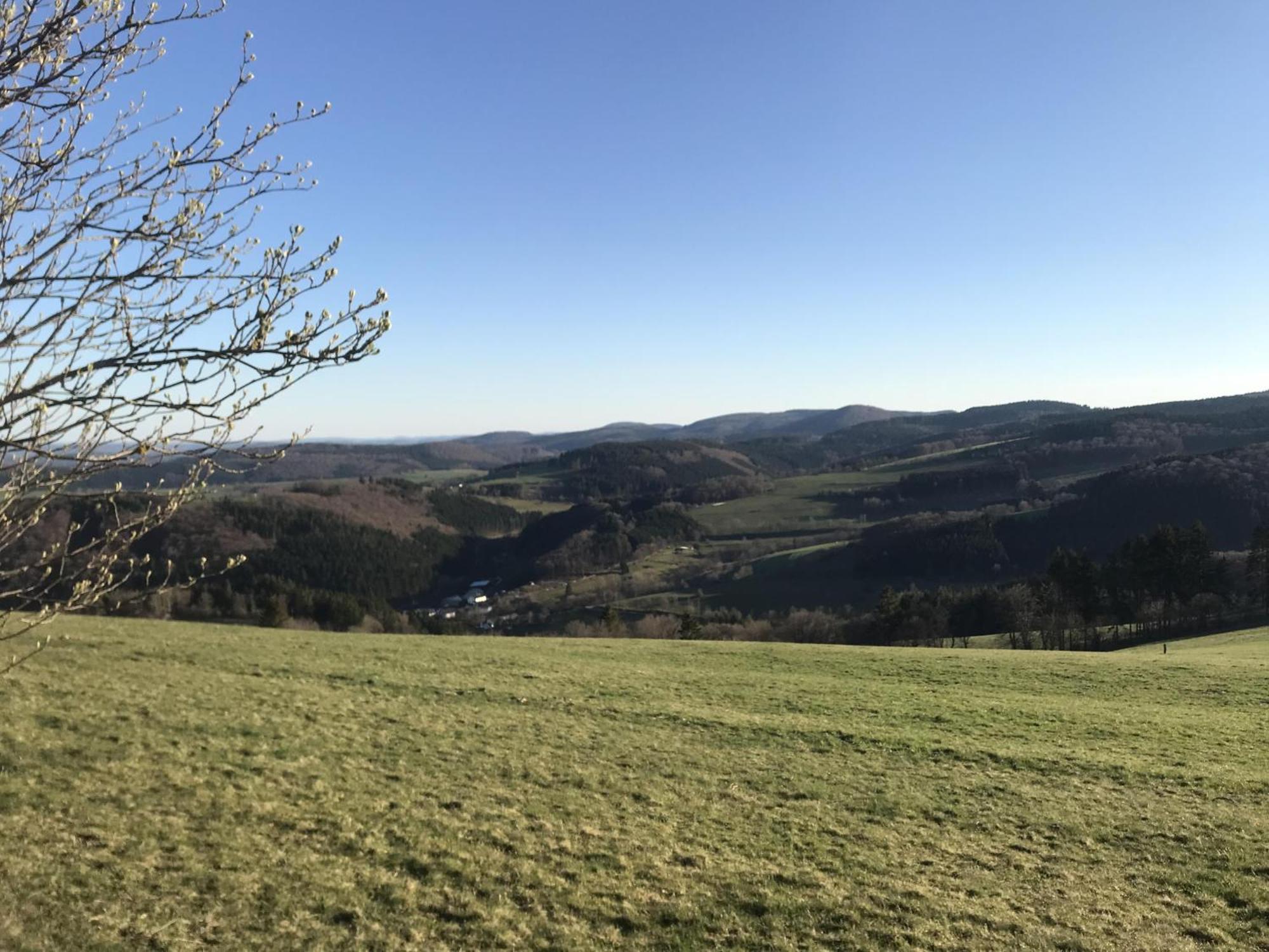 Gluehalm Willingen Villa Willingen  Exterior foto