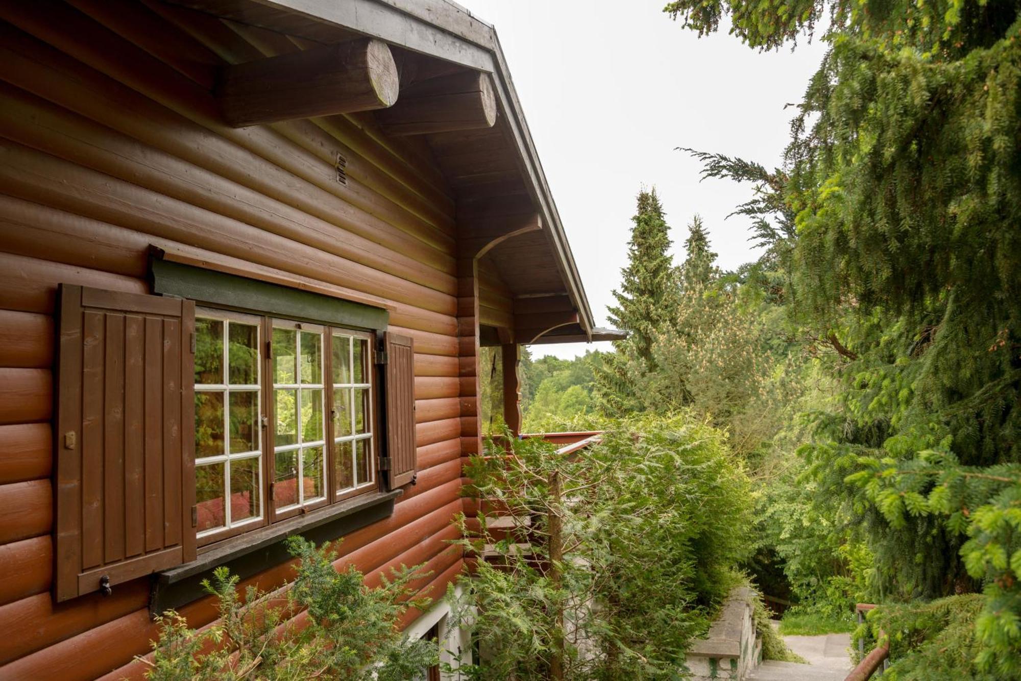 Gluehalm Willingen Villa Willingen  Exterior foto
