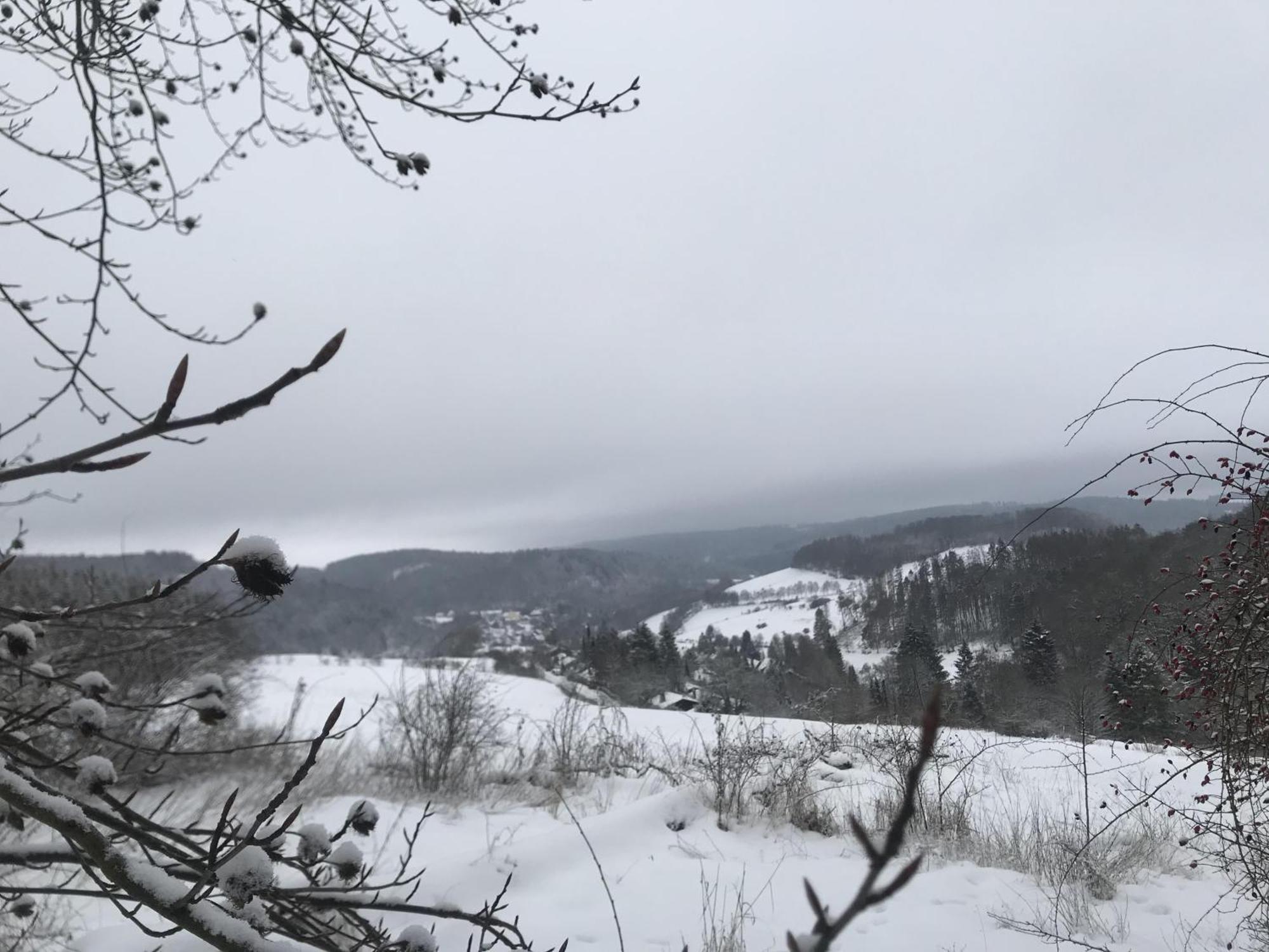Gluehalm Willingen Villa Willingen  Exterior foto